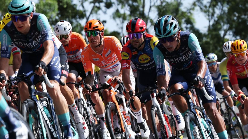 Кенгуру спровоцировал массовый завал во время велогонки в Австралии - «Велоспорт»